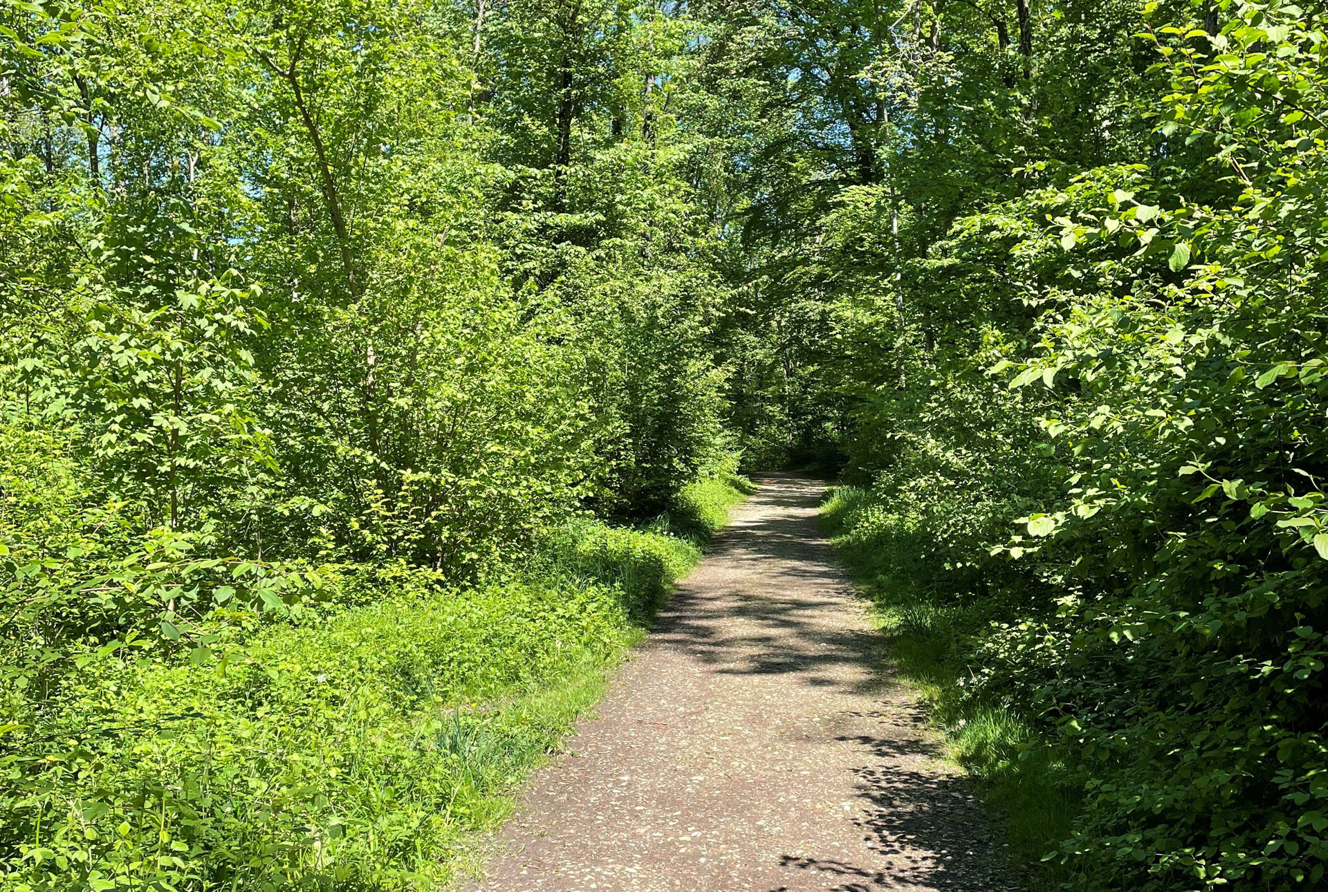 Mangfall-Radweg
